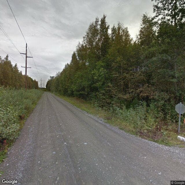 MSSCA - Siberian Pea in Wasilla, AK - Main View