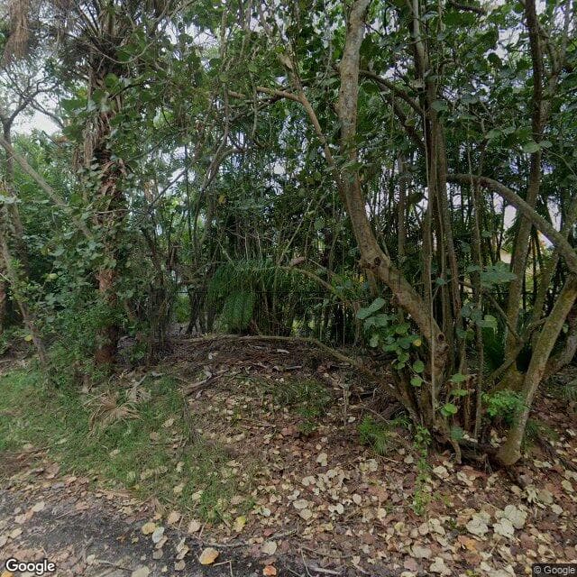 Old Orchid in Vero Beach, FL - Main View