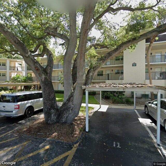 Patrician Oaks in Dunedin, FL - Main View