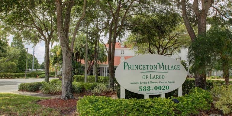 Princeton Village Of Largo in Largo, FL - Main View
