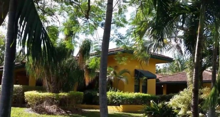 Silver Palm II