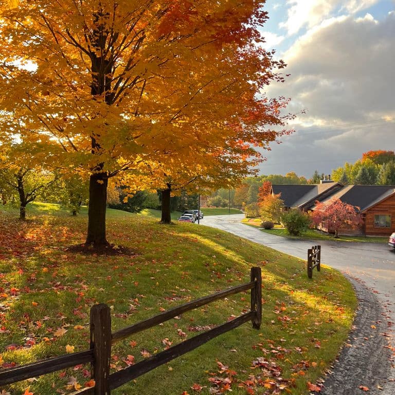 The Homesteader - Senior living in Benzonia, Michigan