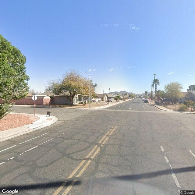 White Violet in Phoenix, AZ - Main View