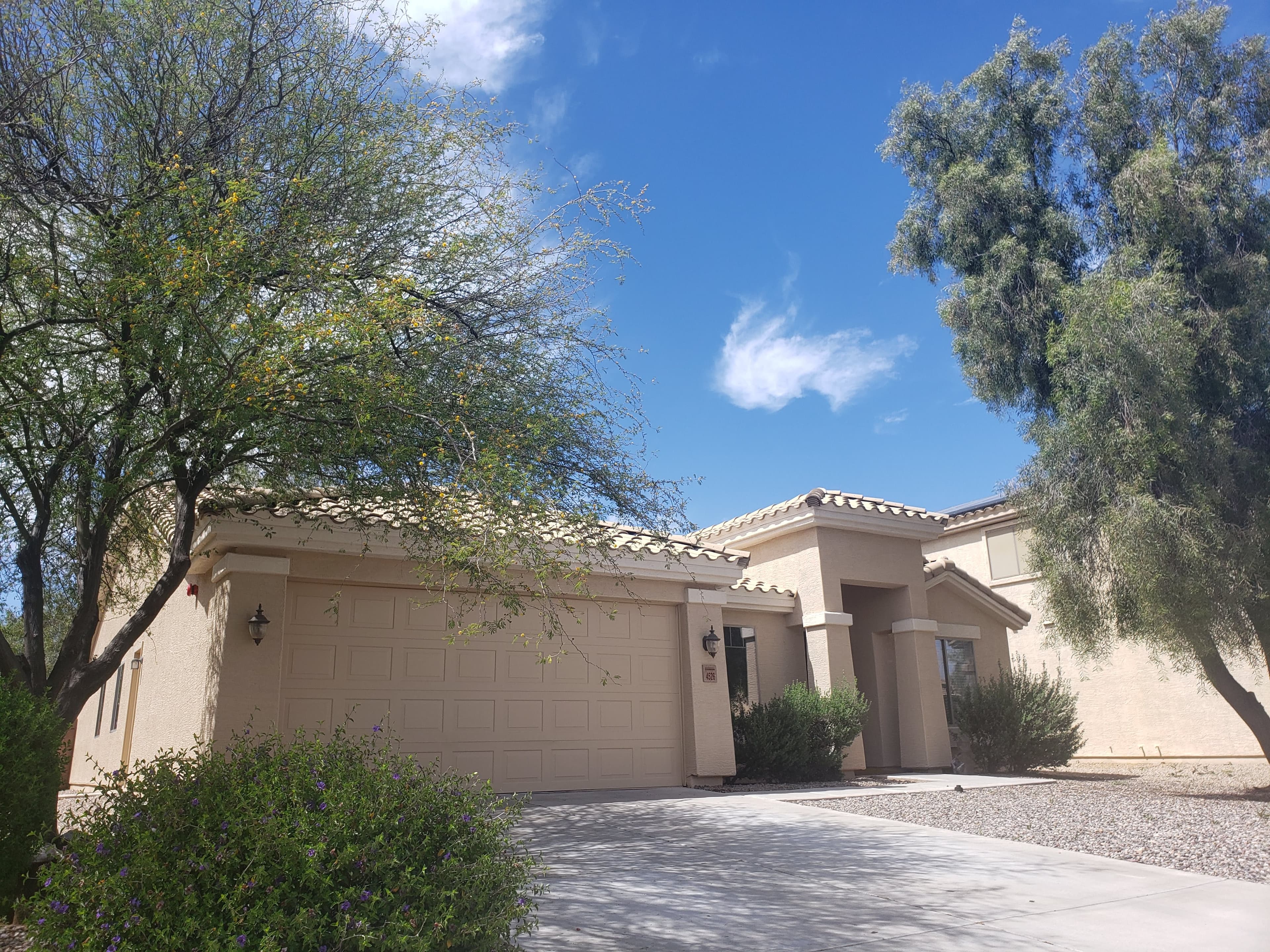 Desert Sunflower ALH in Avondale, AZ