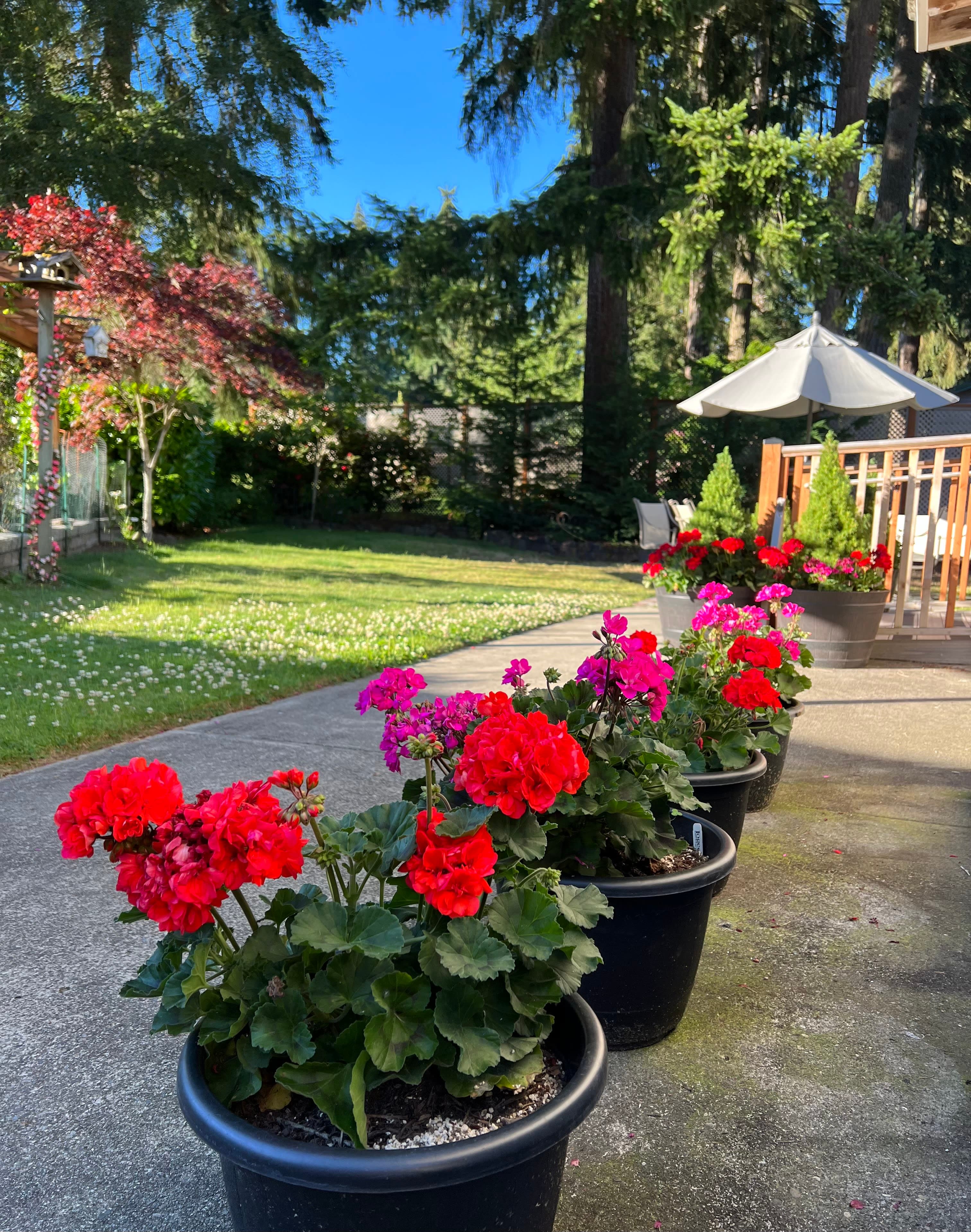 Elderly Wellness LLC in Bellevue, WA - Main View