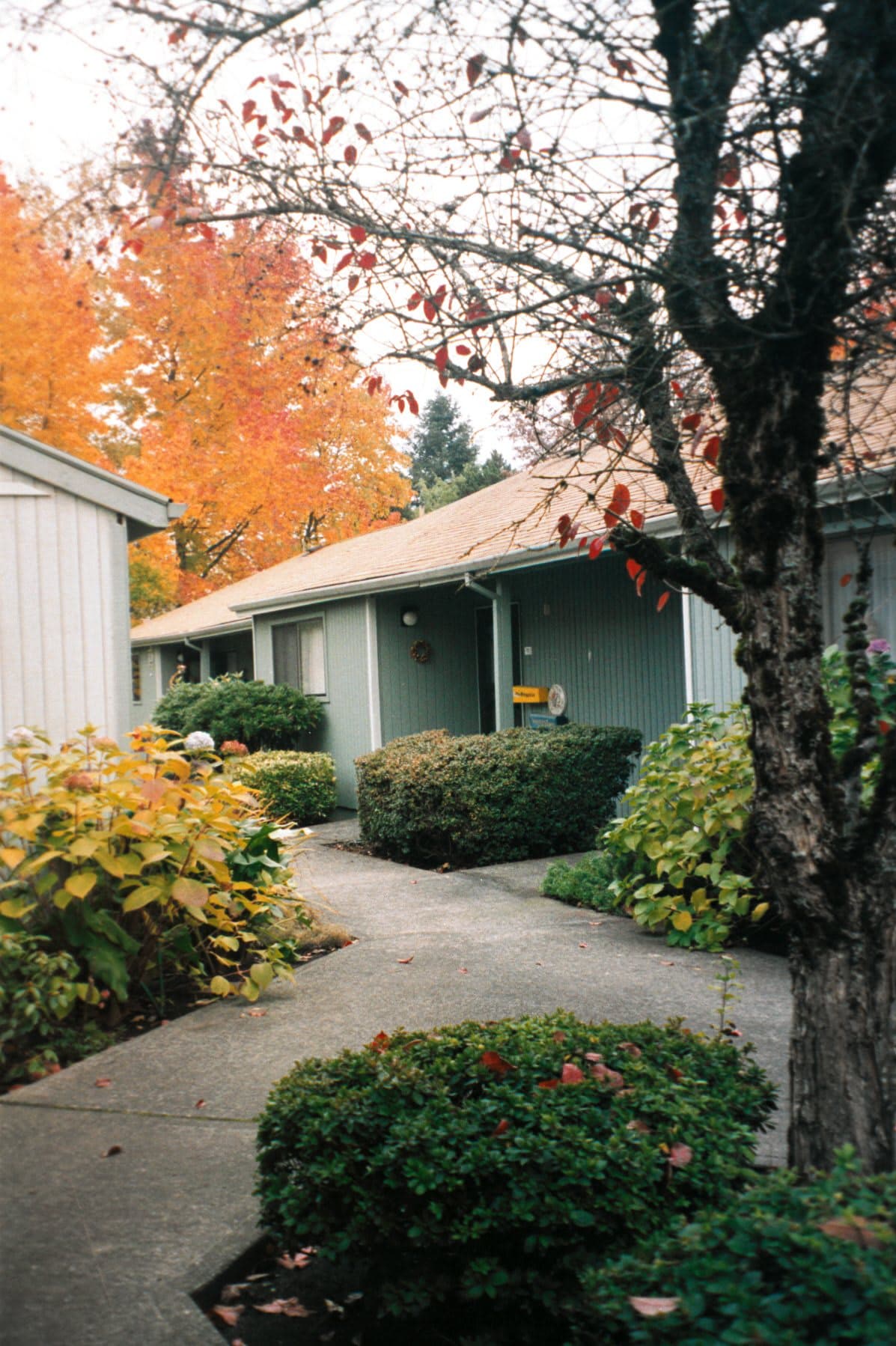 Fairlawn of Olympus Retirement Living in Gresham, OR - Main View