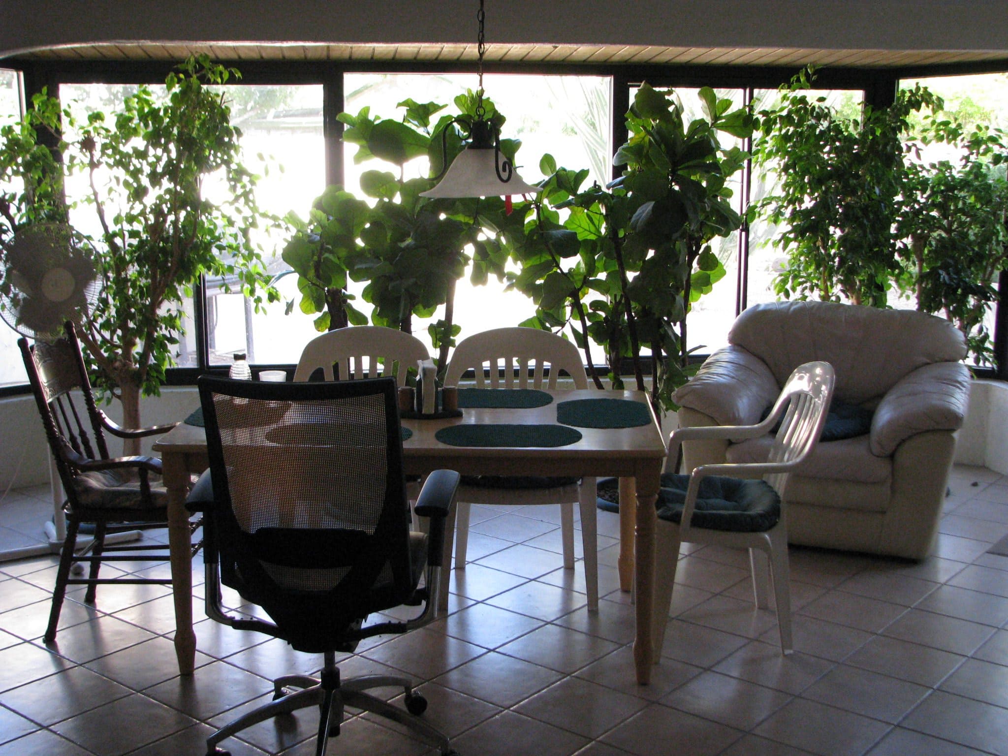 Foster Care Home in Phoenix, AZ - Main View