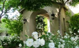 Golden Age Care Home in Carmichael, CA - Main View