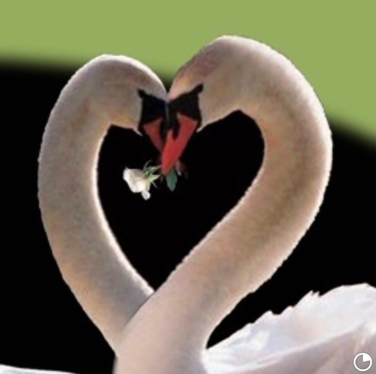 Golden Swan by the Lake Assisted Living and Memory Care in Boca Raton, FL