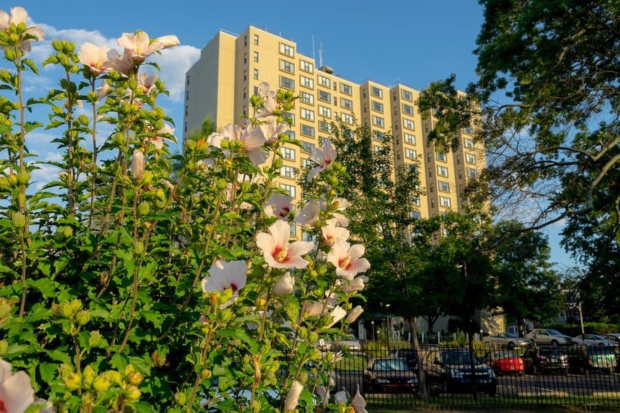 Ingleside Retirement Apartments in Wilmington, DE - Main View