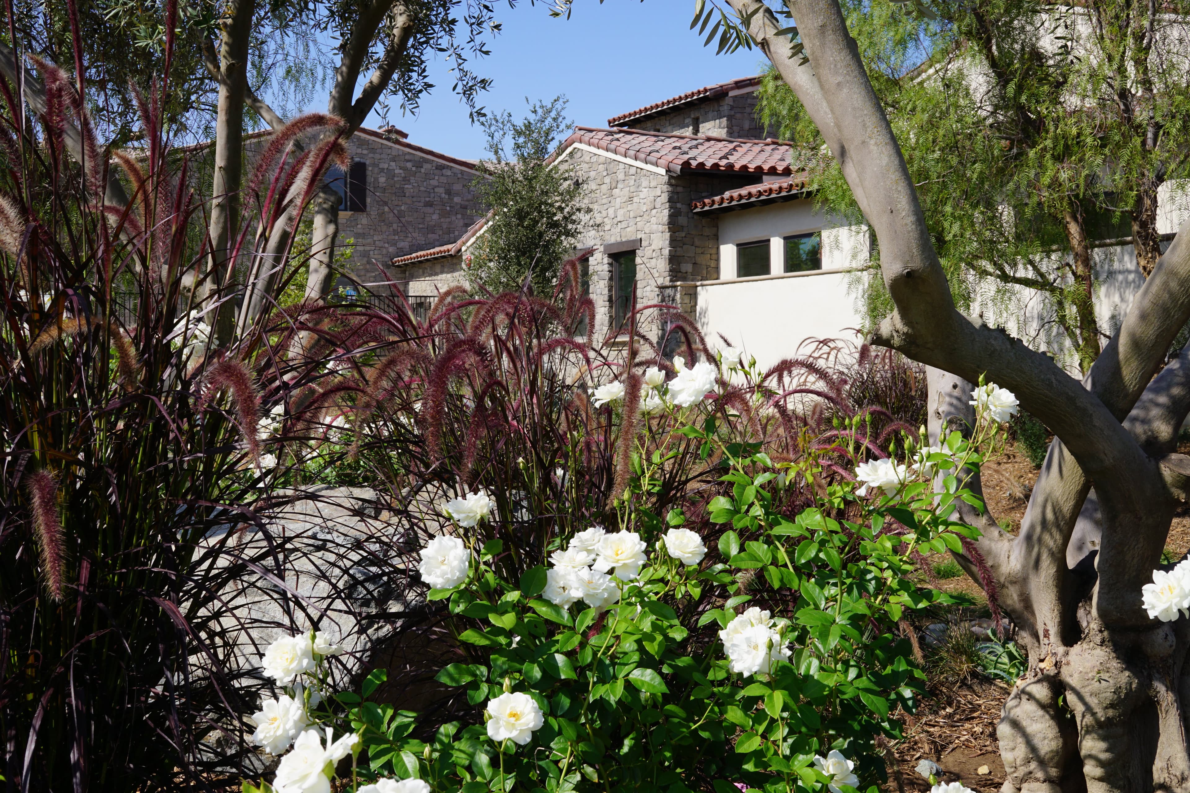 Villa Lorena in San Diego, CA - Main View