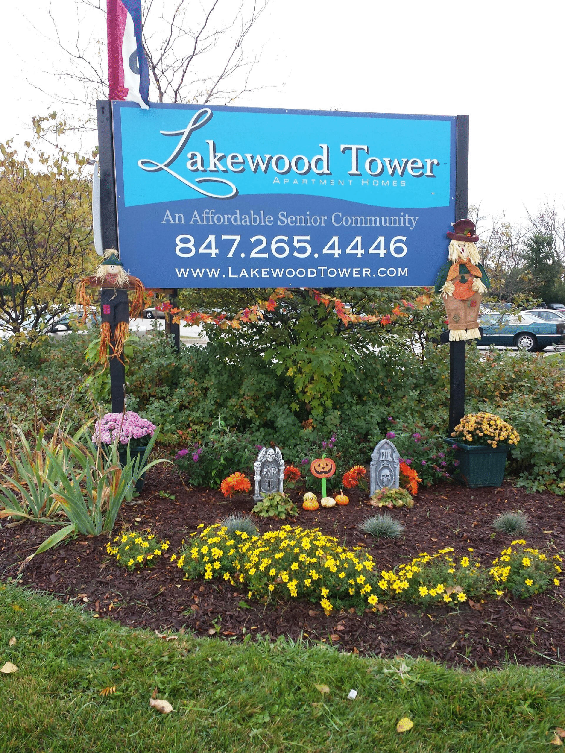Lakewood Tower in Lake Villa, IL - Main View