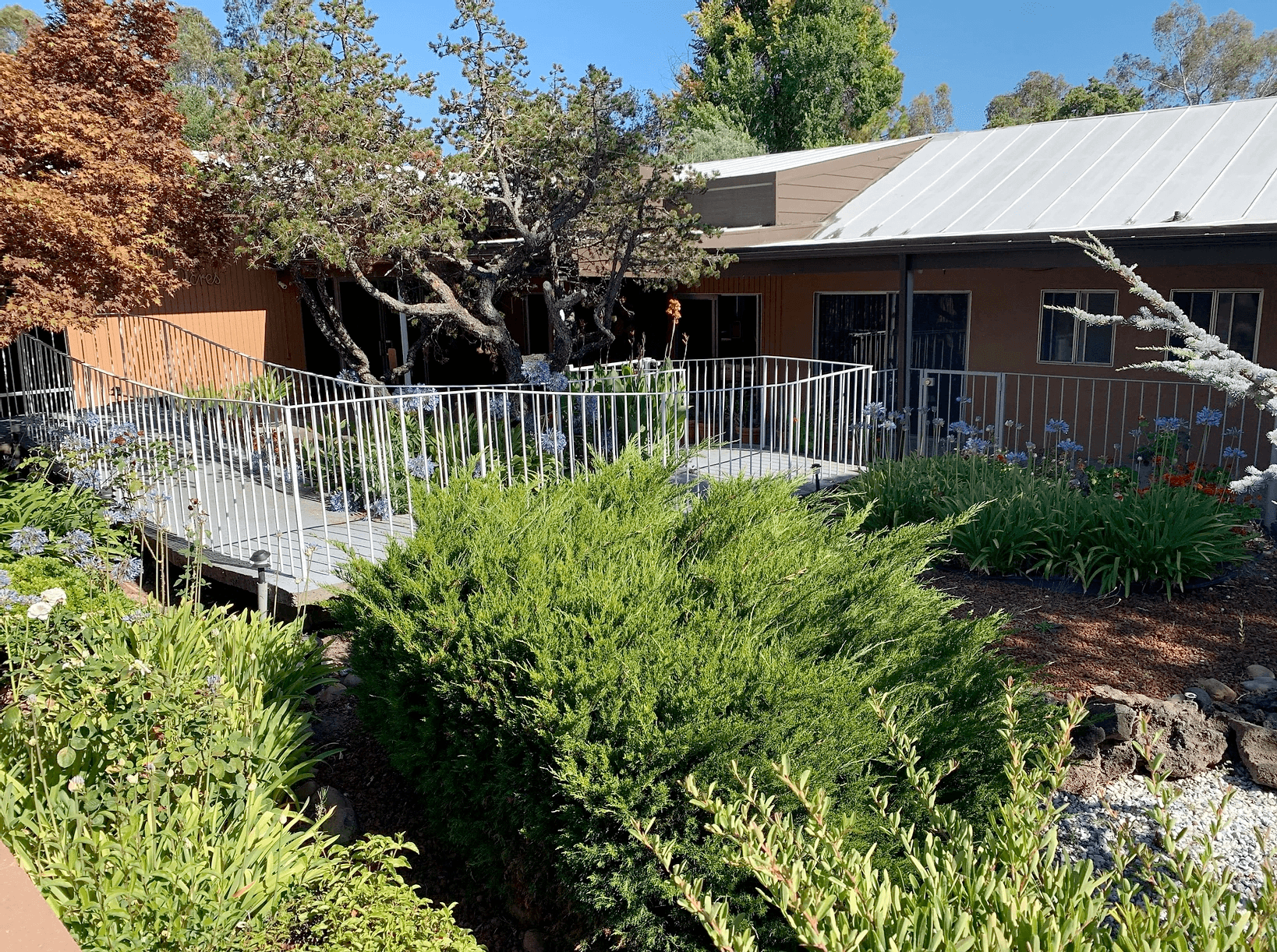 Sonoma Grove in Sonoma, CA - Main View