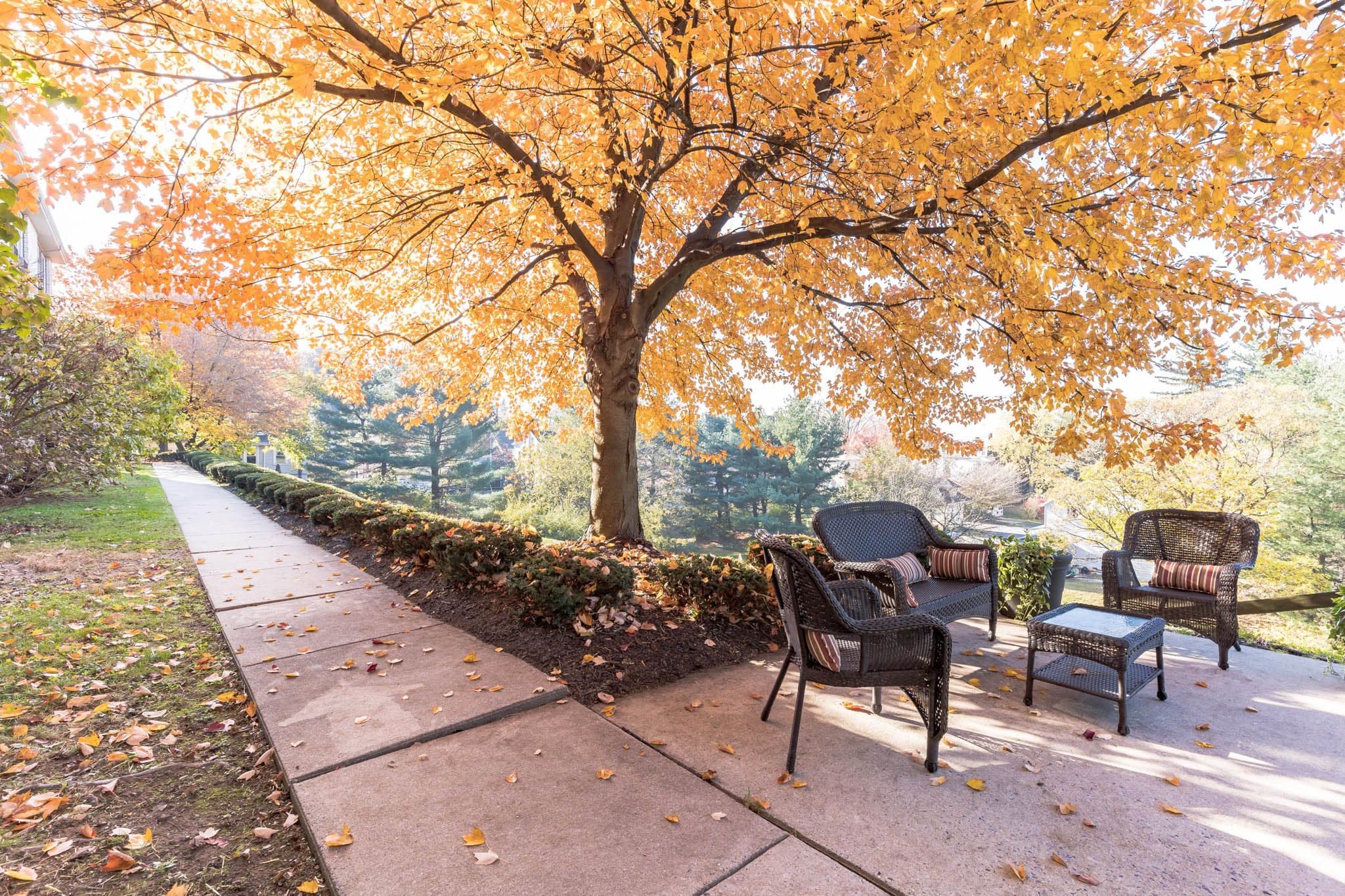 Rittenhouse Village At Muhlenberg in Reading, PA