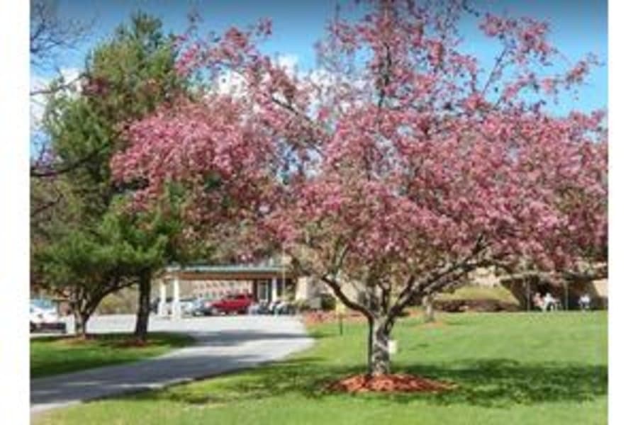 New Windsor Country Inn in New Windsor, NY