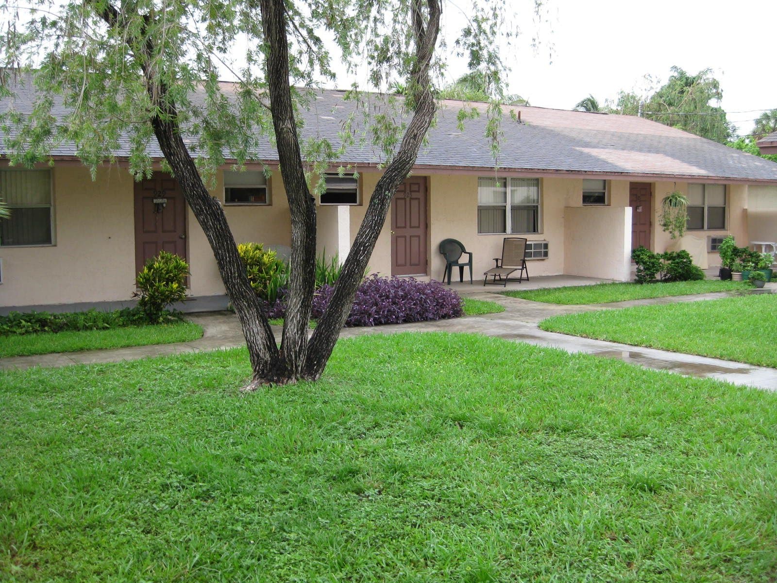 Nova Palms in Hollywood, FL - Main View