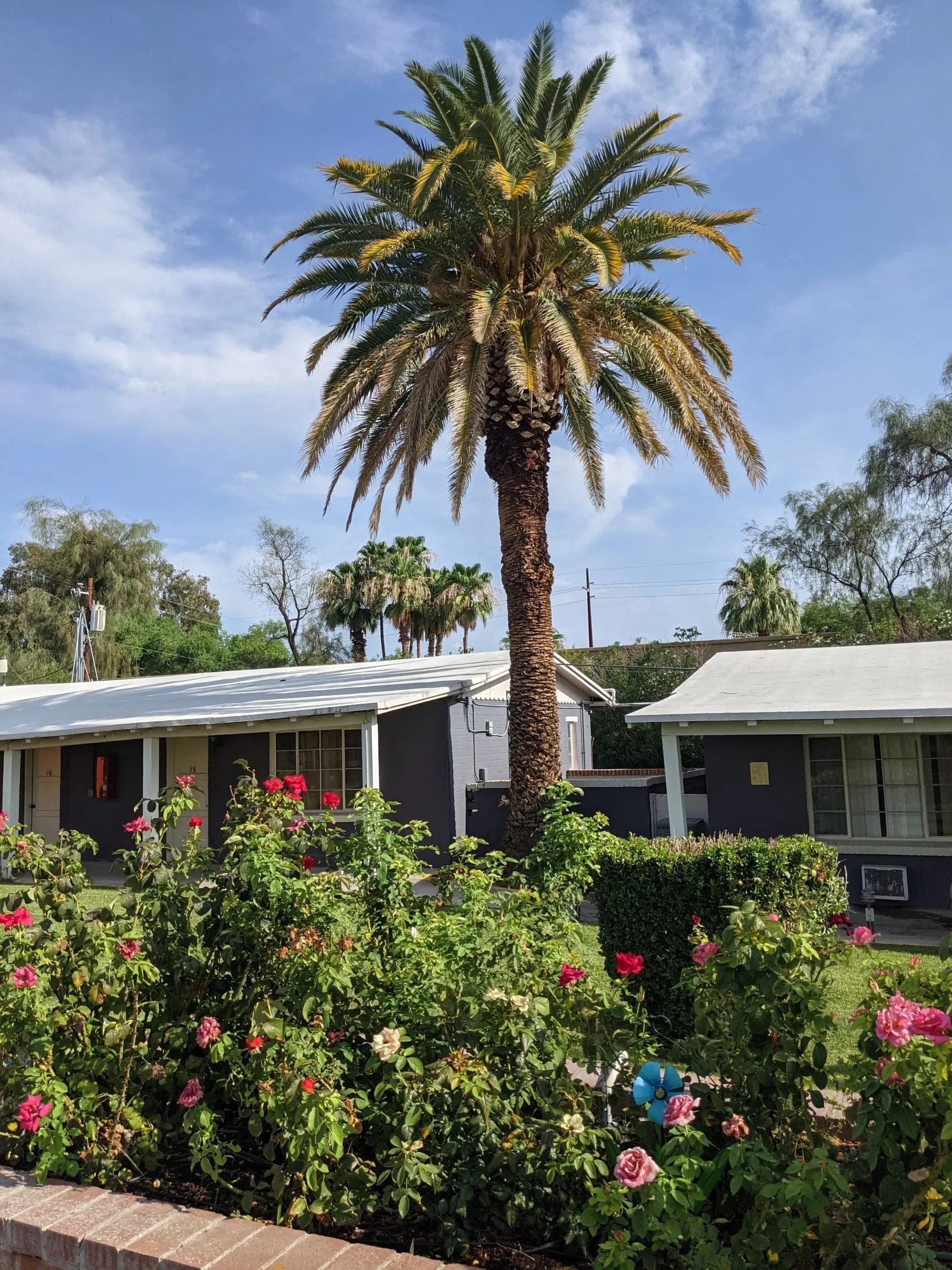 Oasis Assisted Living Center in Tucson, AZ - Main View