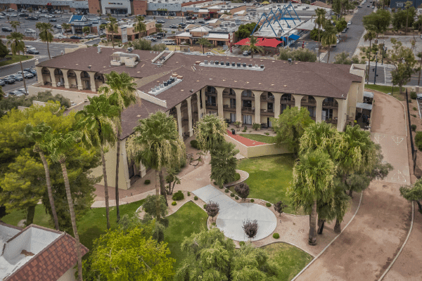 Olive Grove in Phoenix, AZ - Main View