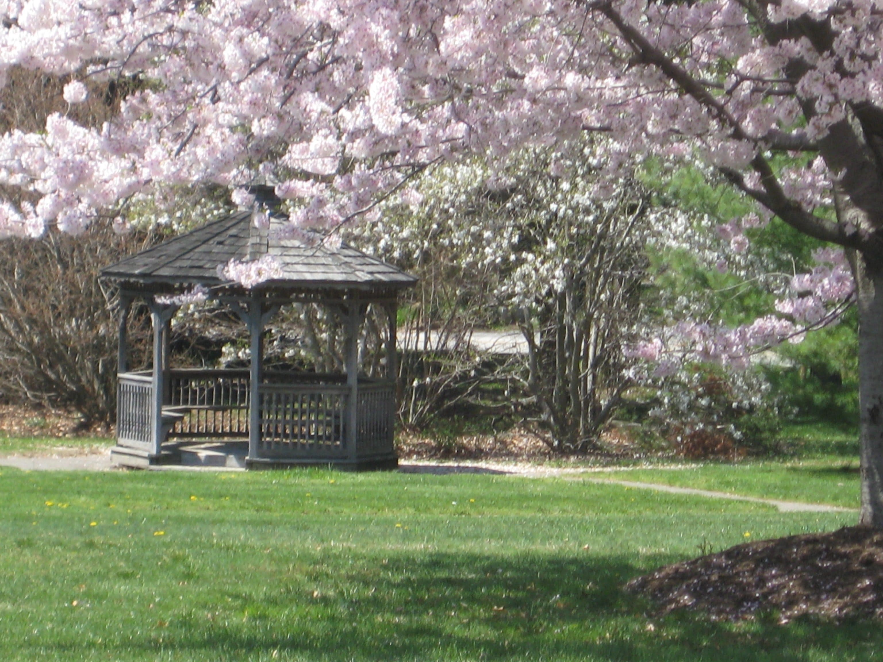 Pickersgill Retirement Community in Towson, MD