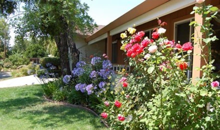 Belrose Care Home Ii in Walnut Creek, CA - Main View