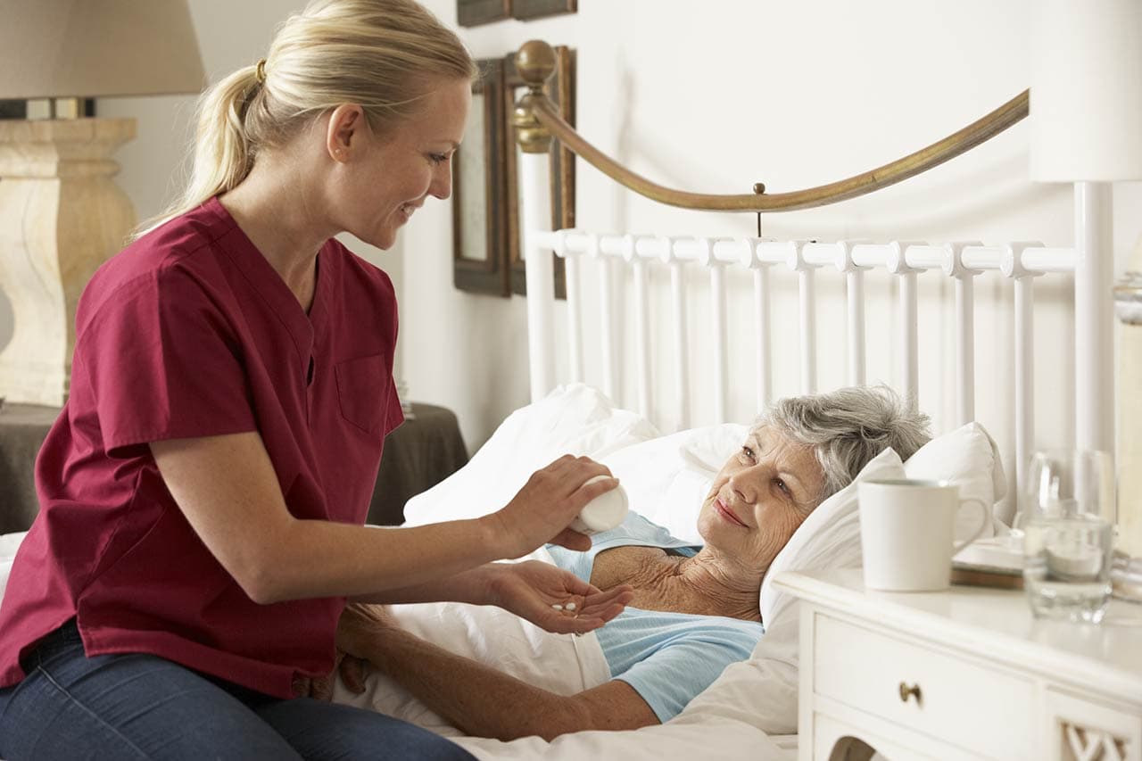 Seniors Helping Seniors in Manchester, CT - Main View