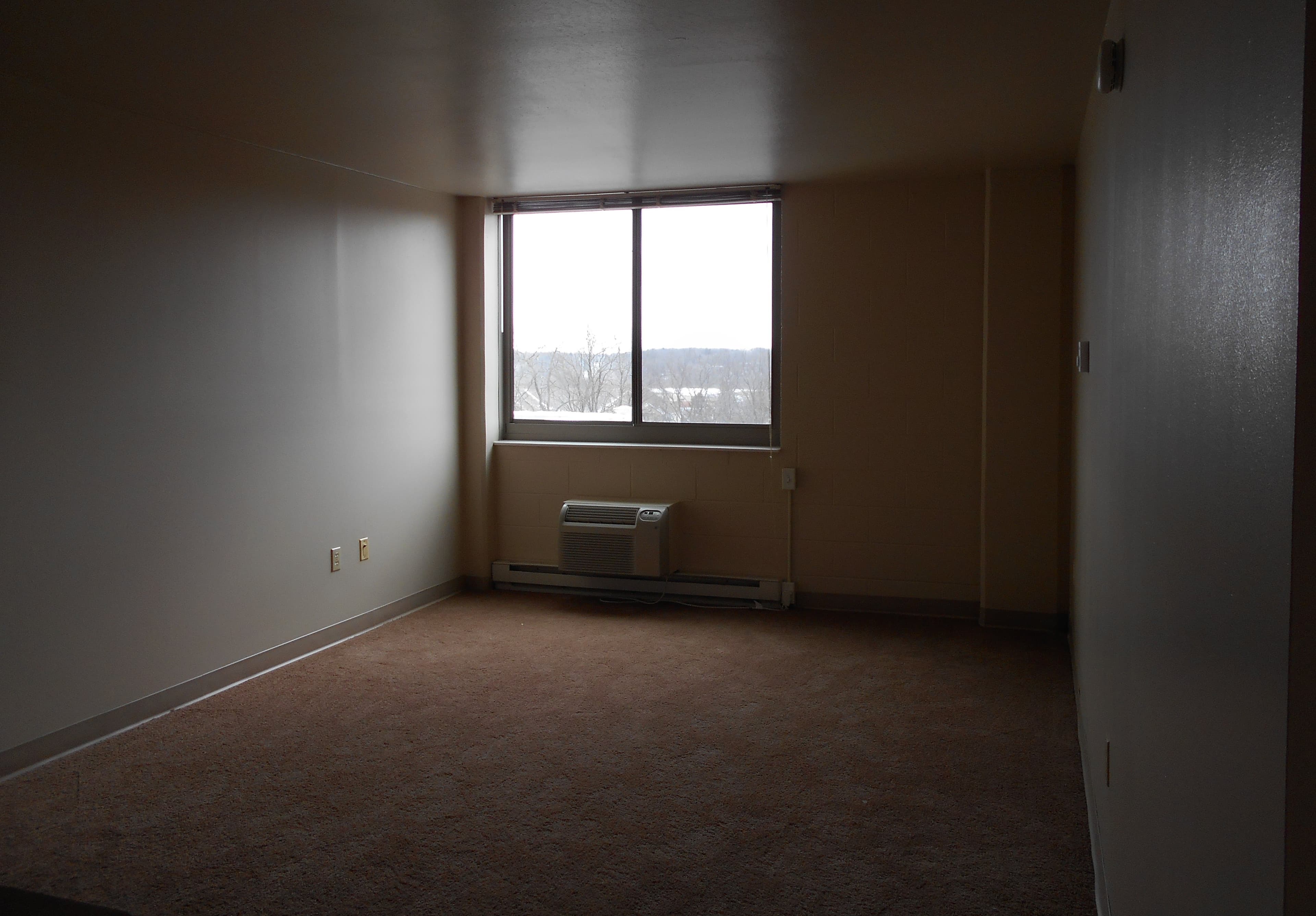 Springview Tower in Battle Creek, MI - Main View