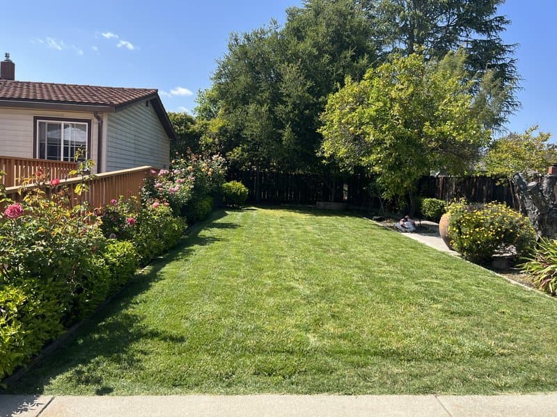 Bluemeadow Care in San Ramon, CA - Main View