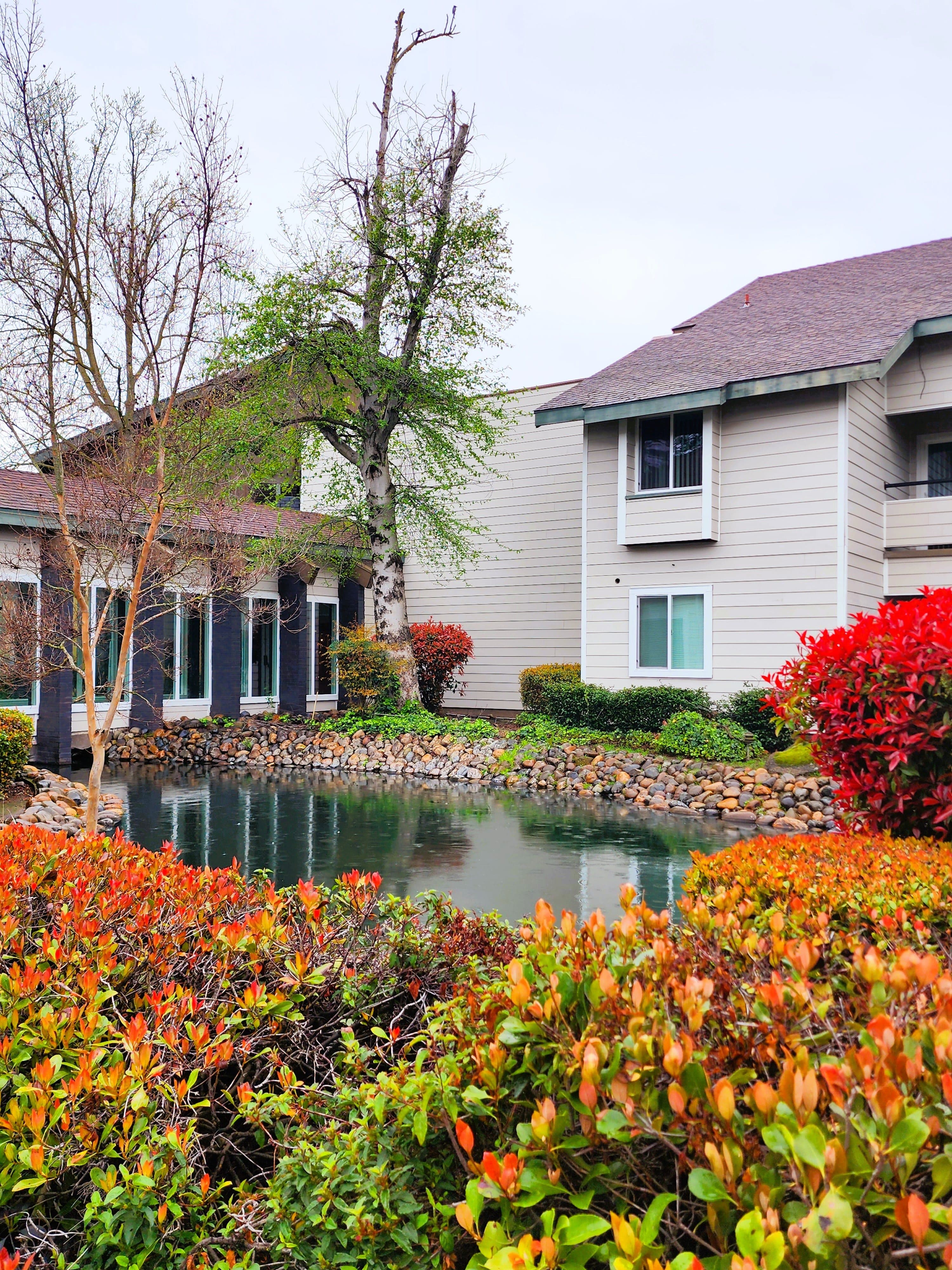 The Atrium at Carmichael in Carmichael, CA - Main View