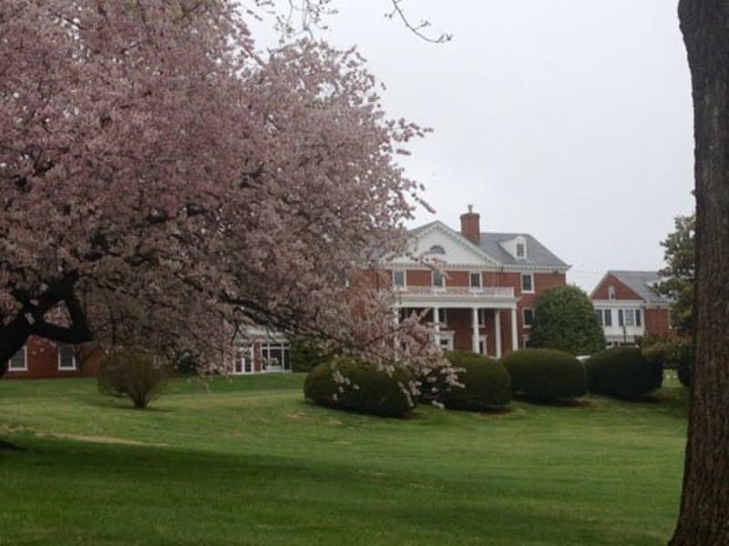 The Culpeper in Culpeper, VA - Main View