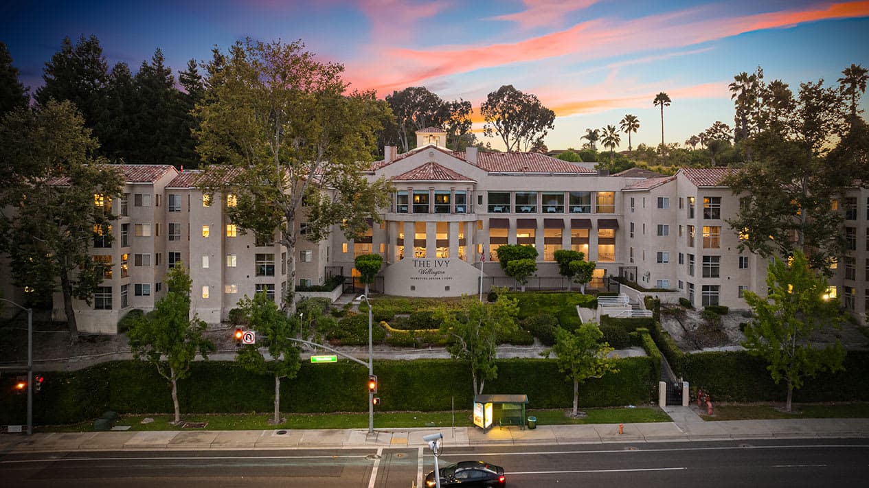 The Ivy at Wellington in Laguna Hills, CA - Main View