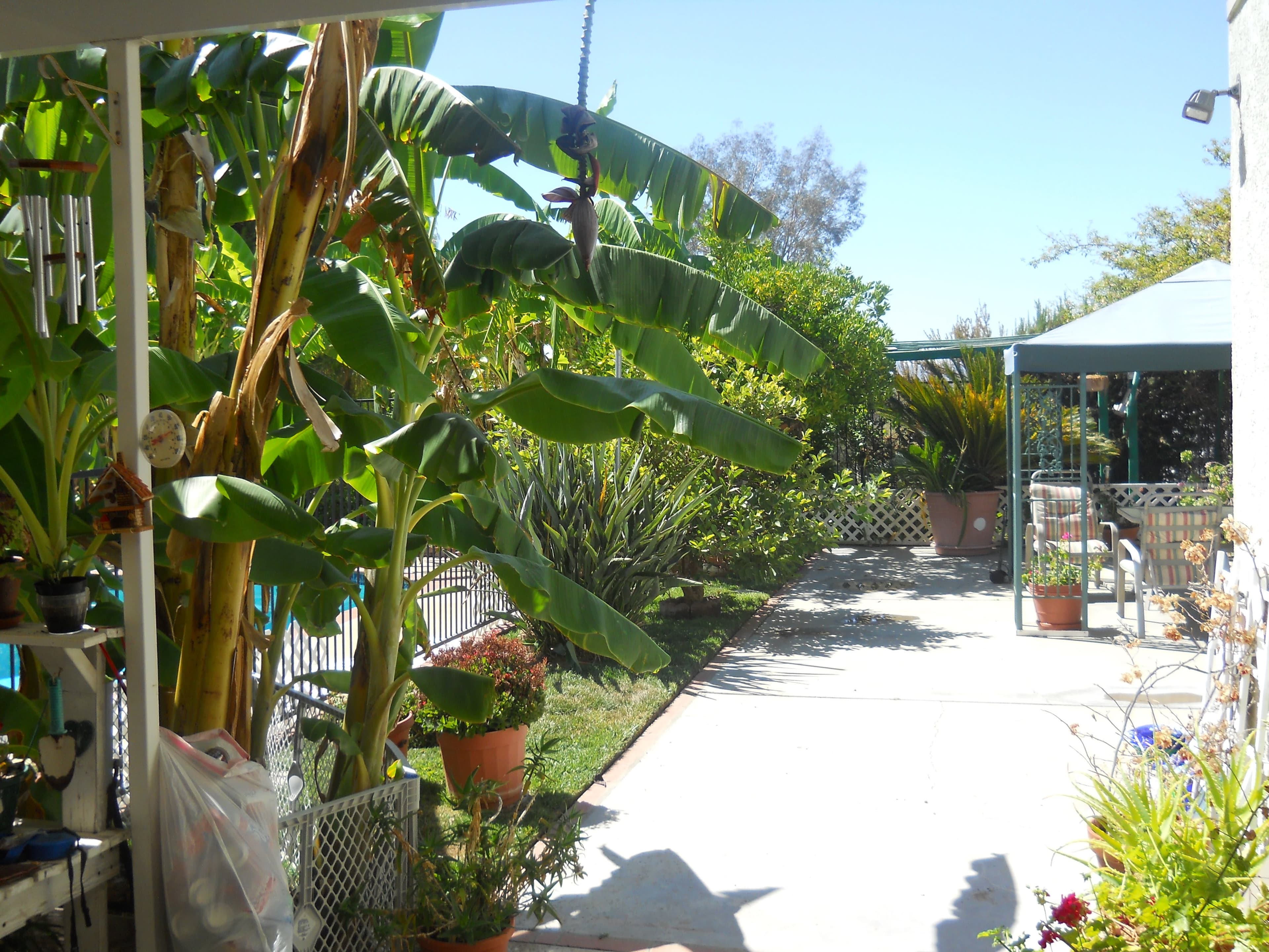 Agape Home For The Elderly in Wildomar, CA - Main View