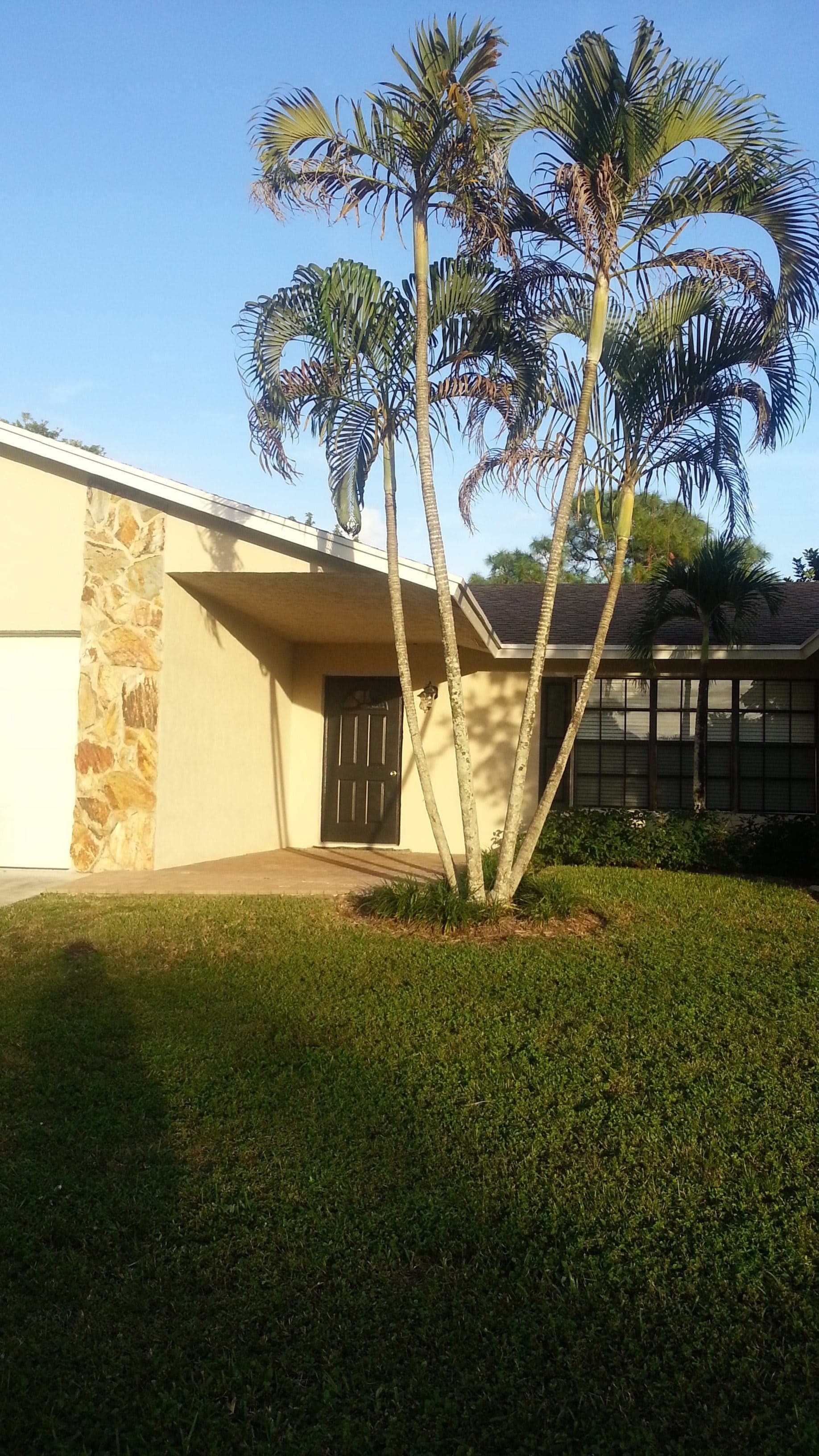 The Willows in Royal Palm Beach, FL - Main View