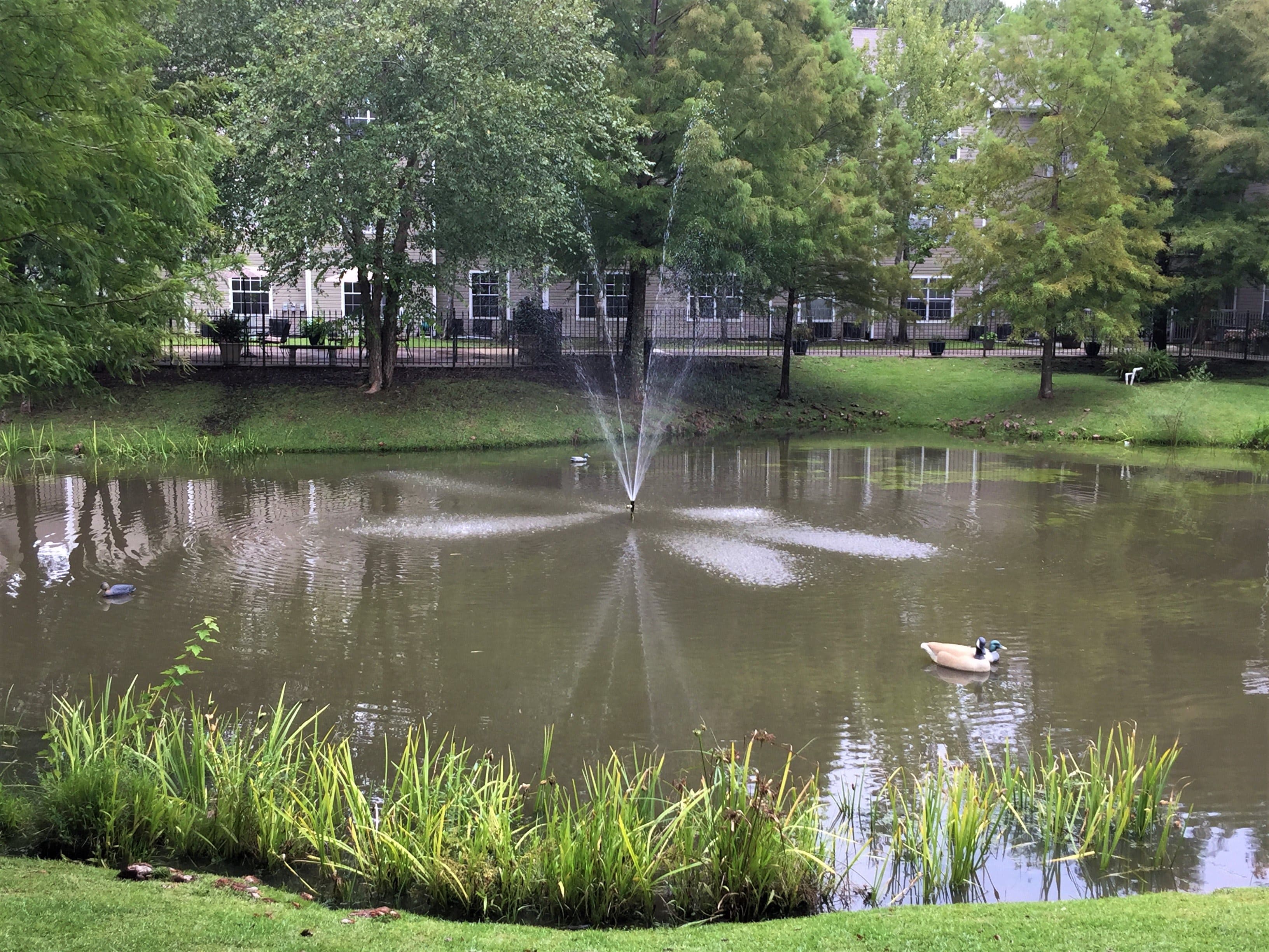 The Windsor Senior Living Community in Mandeville, LA