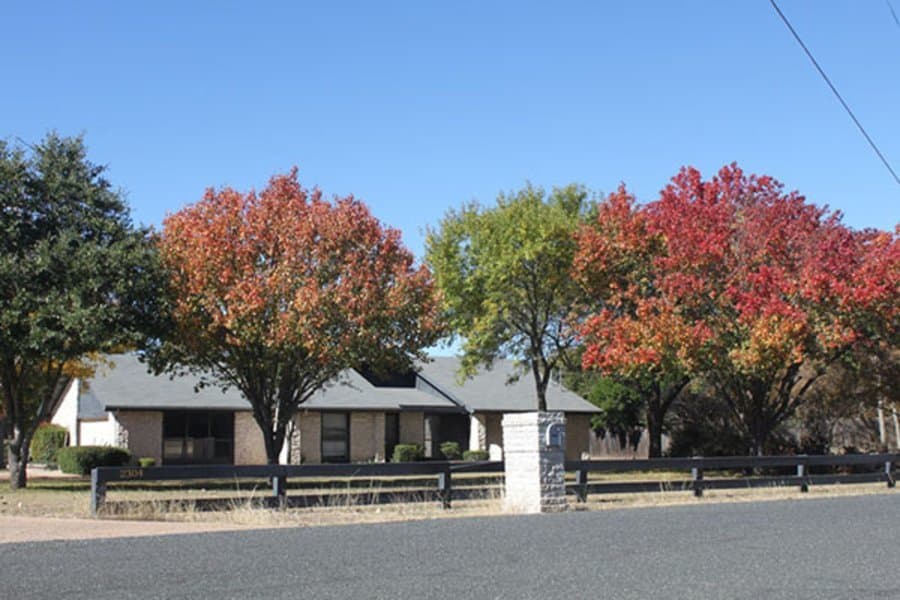 Tran's Senior Oasis in Round Rock, TX - Main View