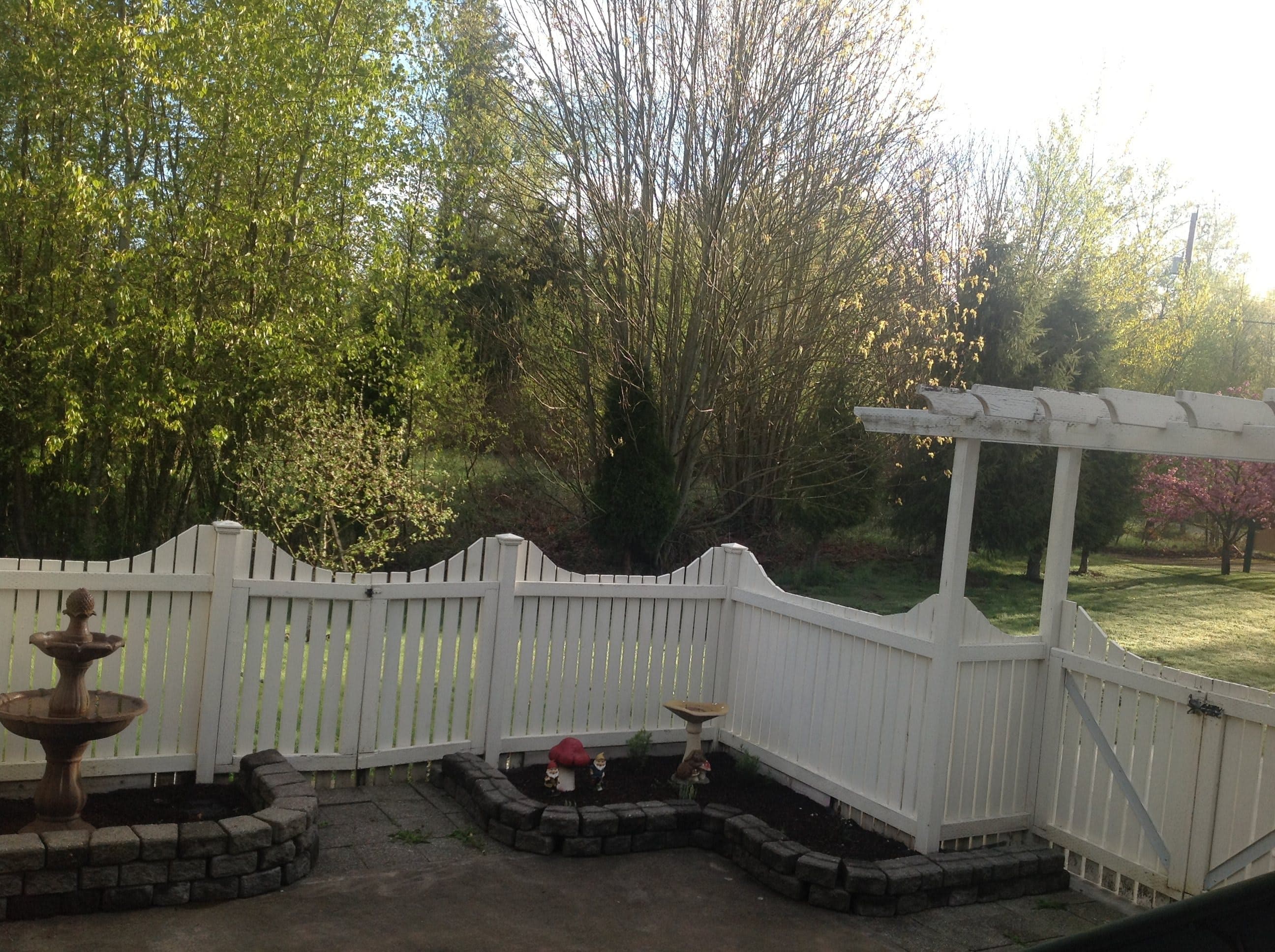 Vineyard Haven Adult Family Home in Custer, WA - Main View