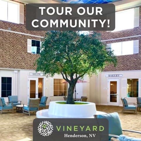 Vineyard Memory Care in Henderson, NV - Main View